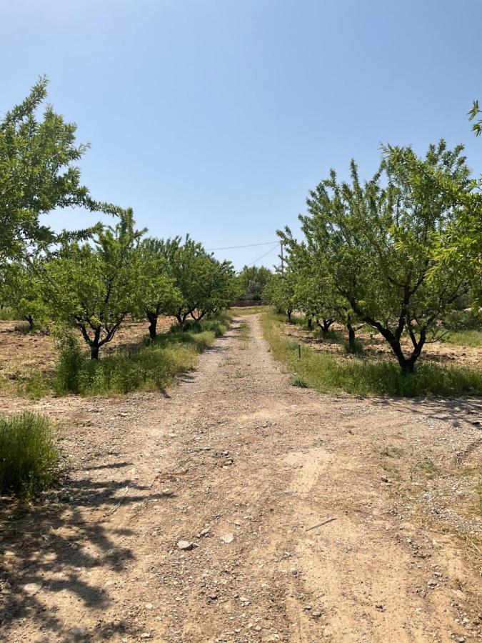 La Antigua Casa Del Astronomo Casa Rural Ricote Εξωτερικό φωτογραφία