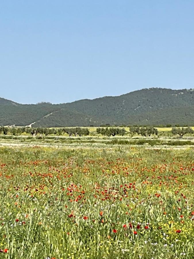 La Antigua Casa Del Astronomo Casa Rural Ricote Εξωτερικό φωτογραφία