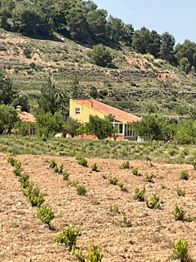 La Antigua Casa Del Astronomo Casa Rural Ricote Εξωτερικό φωτογραφία